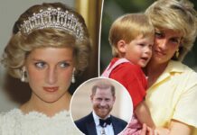 Prince Harry WANTS to make a documentary about Princess Diana to mark the 30th anniversary of her death