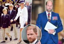 Prince William will not take part in Princess Diana documentary to AVOID his estranged brother, Harry