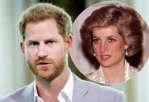 REVEALED: Prince Harry returned to Britain partly to make his own film about his mother