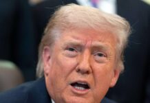 Trump hints US wouldn’t back UK if Argentina invaded the Falklands: ‘You weren’t there to help me’
