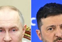 Ukraine prepares for fresh peace talks with Russia in October, but Putin REFUSES meeting at the G20 summit