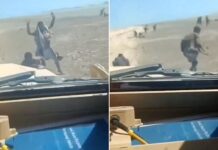 Saudi-backed forces use trucks to ‘run over SURRENDERING Houthi rebels’ as battle rages over Red Sea